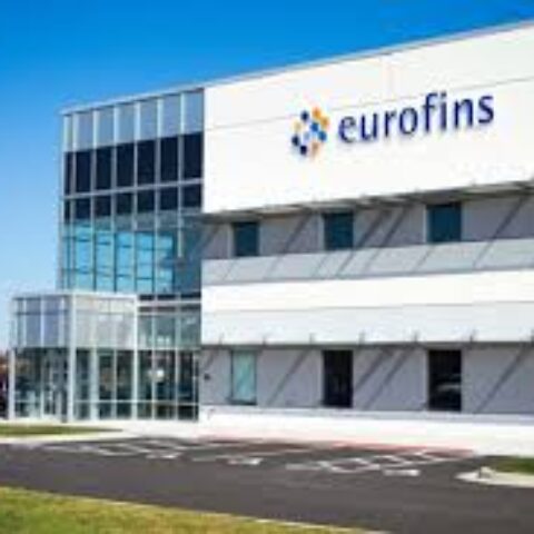 Eurofins – Office Renovations